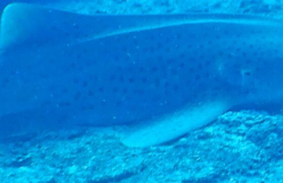 9adf5dab-596b-4b23-91ad-5670db576e80