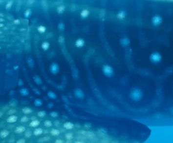 365aceba-d85c-4902-b394-1fa8ab8bce0e