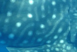 365aceba-d85c-4902-b394-1fa8ab8bce0e