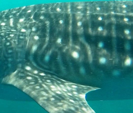 78e6b29a-eac1-4bb1-b531-b00799c27ed1