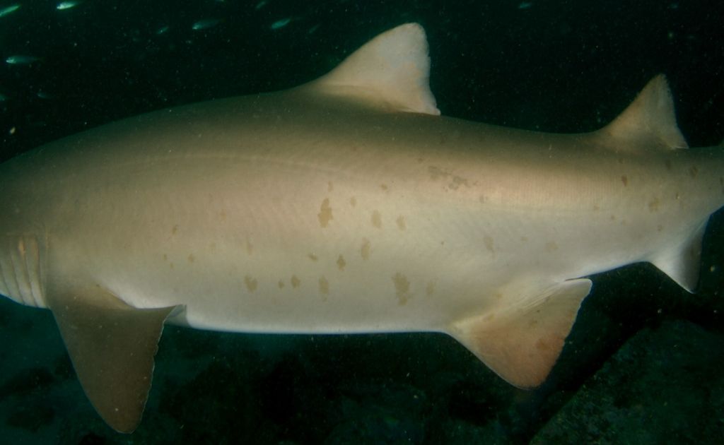 8a39e913-981c-47af-878d-19557cadca4e