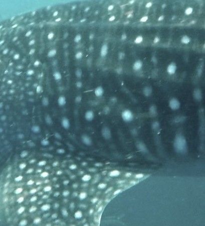 67d081b1-82cf-4fac-8948-d56054b46f2e