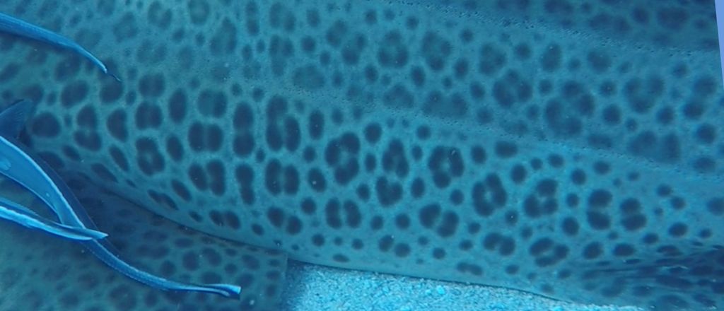 f364b09d-8fe5-495d-956d-f93f948dba0e