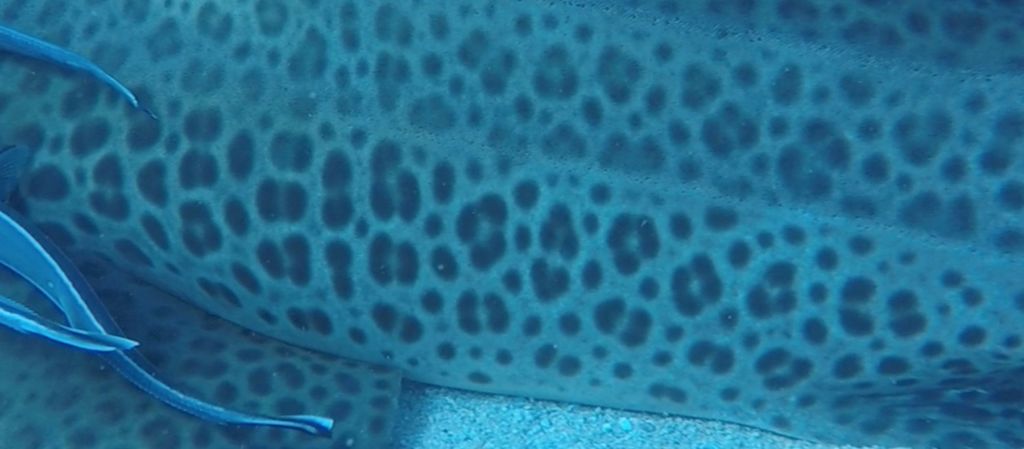 f364b09d-8fe5-495d-956d-f93f948dba0e