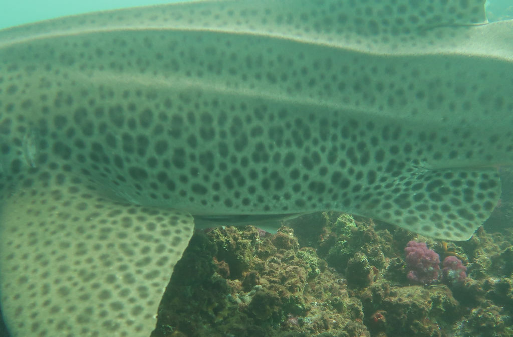 a13f2ac7-478b-43b3-87ea-4631171600e8