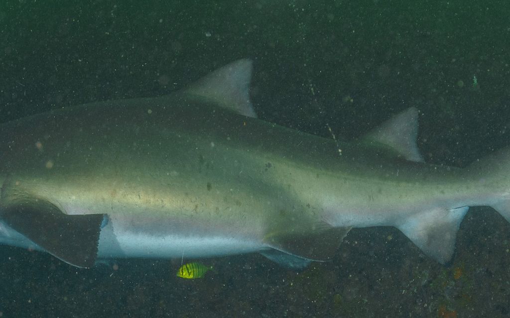 3a1896e2-fc8a-403a-8a03-f6856969e370