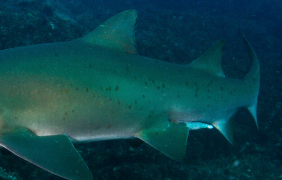 17ef2264-4c7c-4819-8382-ab3270e0acc7