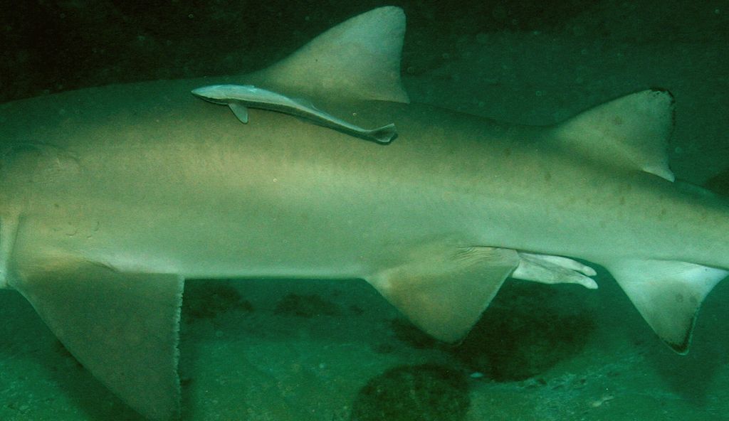 75789f1b-7523-42de-b94c-58ff23dba517