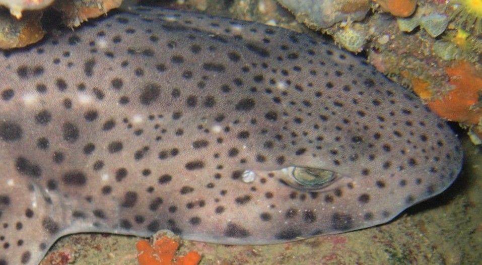 f3dd98bc-d01e-4c12-9b54-a26b2361bc0c