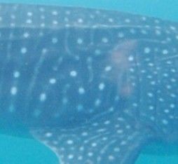 9f3ac15c-d257-4f05-a6e6-d7334a15f027