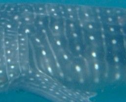 9f3ac15c-d257-4f05-a6e6-d7334a15f027