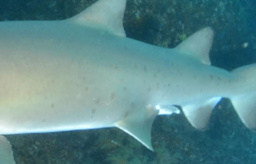 8b1c3764-e77d-4bf2-ae9e-435c5f7f2ab7