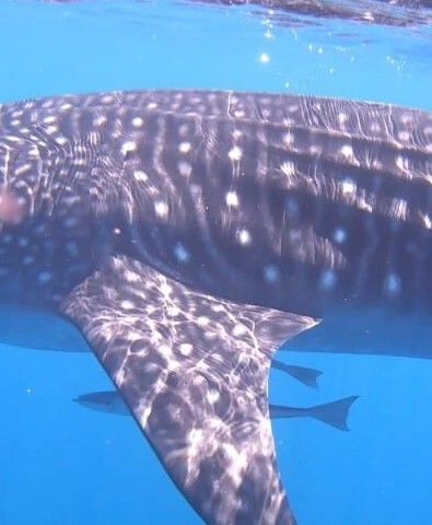 037811e2-97e4-41b0-8cd6-8bb56d85e231