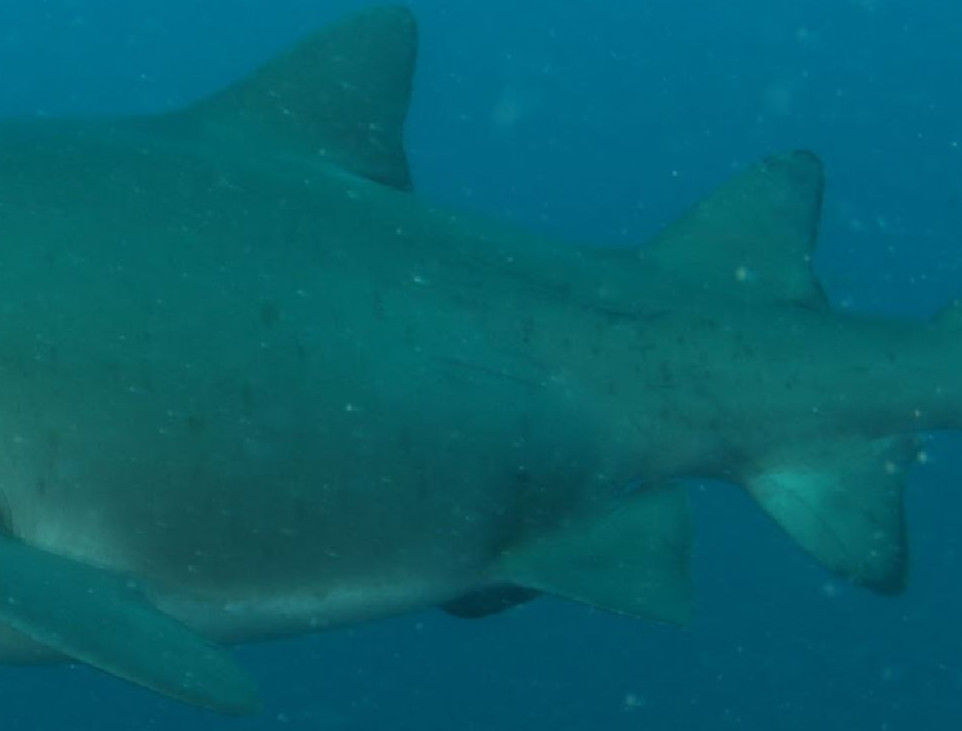 c6072938-0036-4717-aba1-2668eec3ea2d