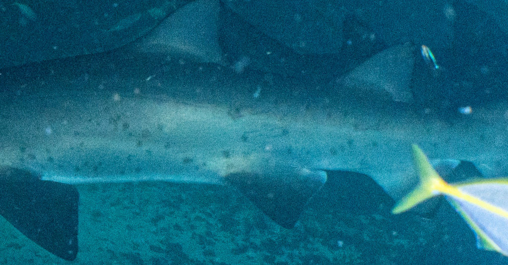 34ecc795-b604-42f4-af14-00c66422089c