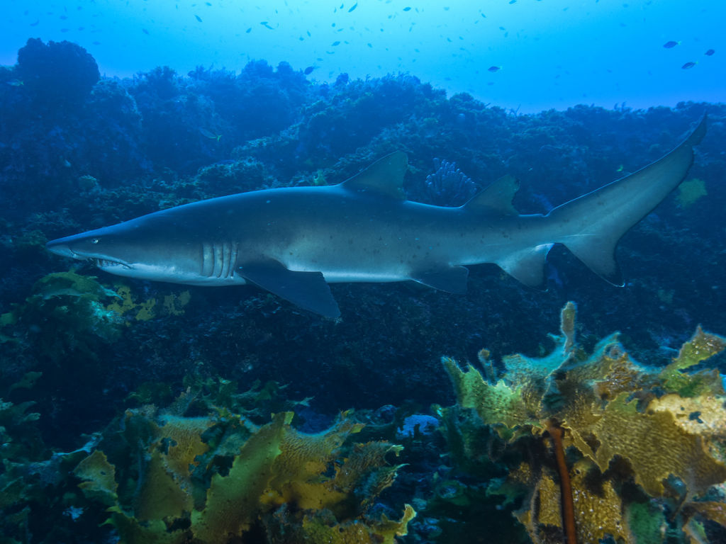 885f178d-1ece-4462-be71-d052b40b7118