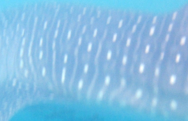 6108170a-4d36-43b3-ac6e-b02f3b24b24b