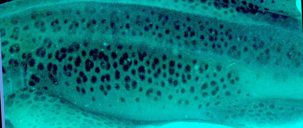 966820ad-13f9-4980-bbd2-5380bca8ce7a