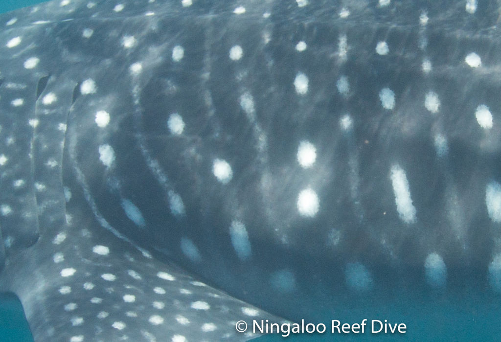 7b9dac9c-a6cb-472c-aad0-9b4e1dbbbdb3