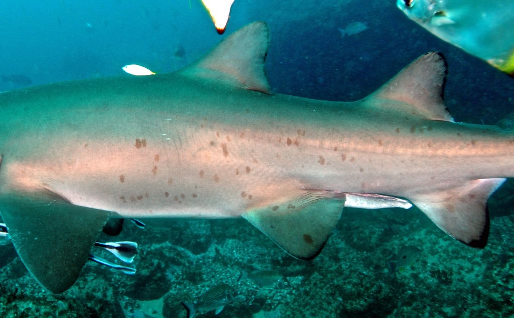 b9848591-6be2-4b19-8471-a8d68eb1a7d9