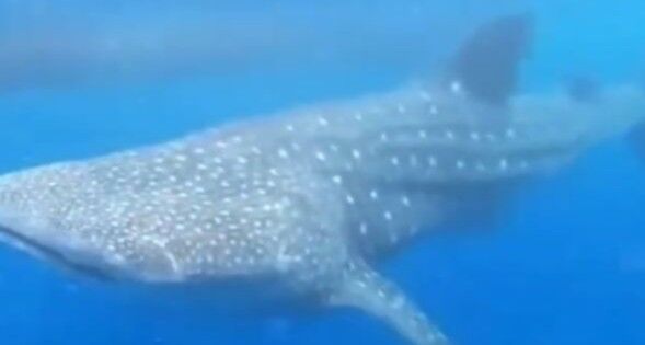 98246820-df88-4be2-8f62-d269f95241b8