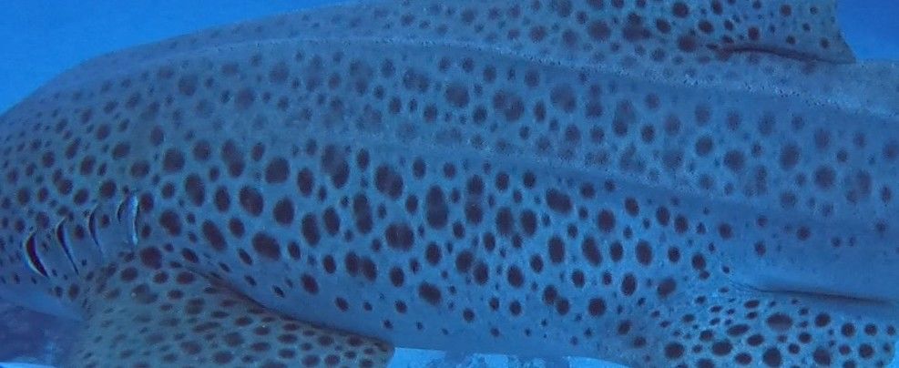 624da8cc-cffc-4a0d-b08a-4edbad309354