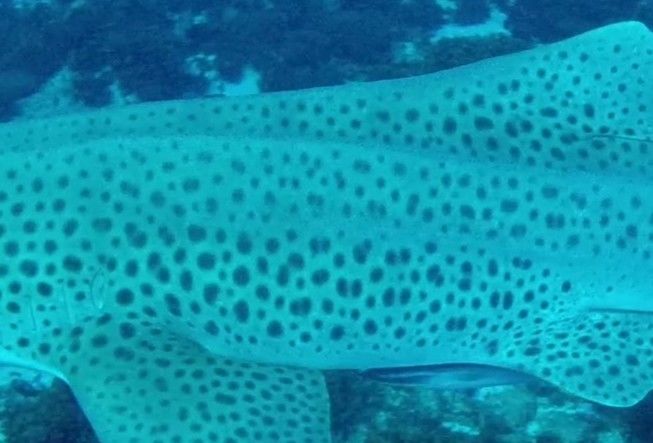 c4f39b7f-b056-431c-8f8e-b49d3ee7fb9a