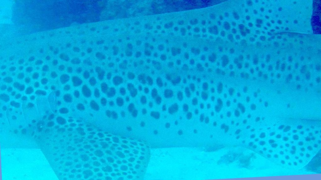 8788ac79-3957-4214-96f1-82e9ac498ea1