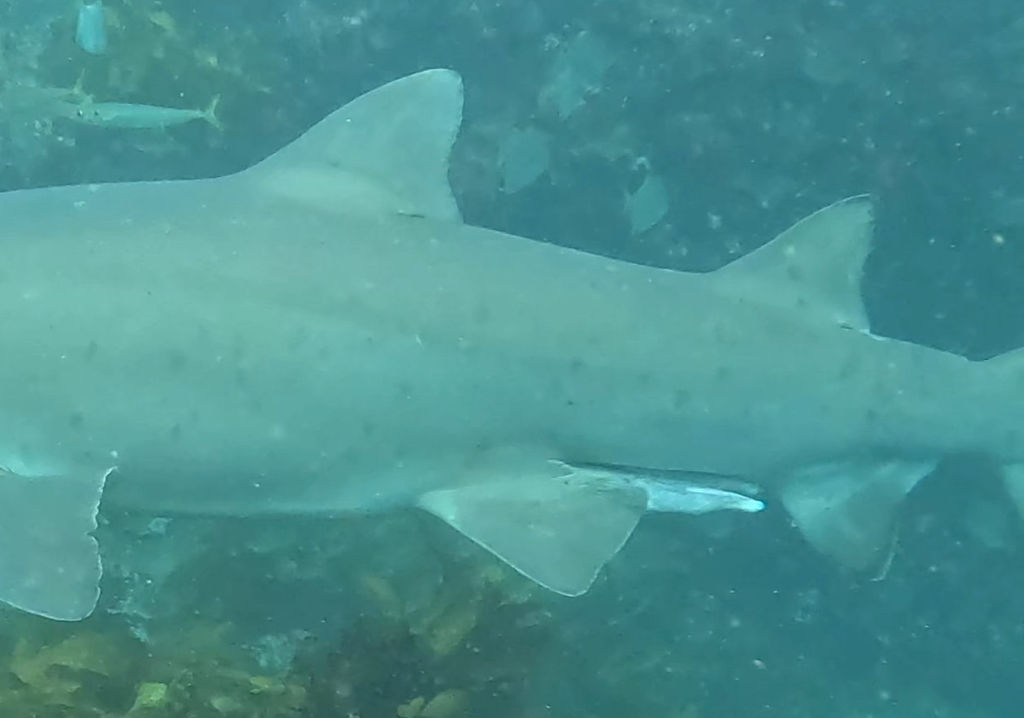 5b45715d-2306-499d-a38c-50efe8da9d0c