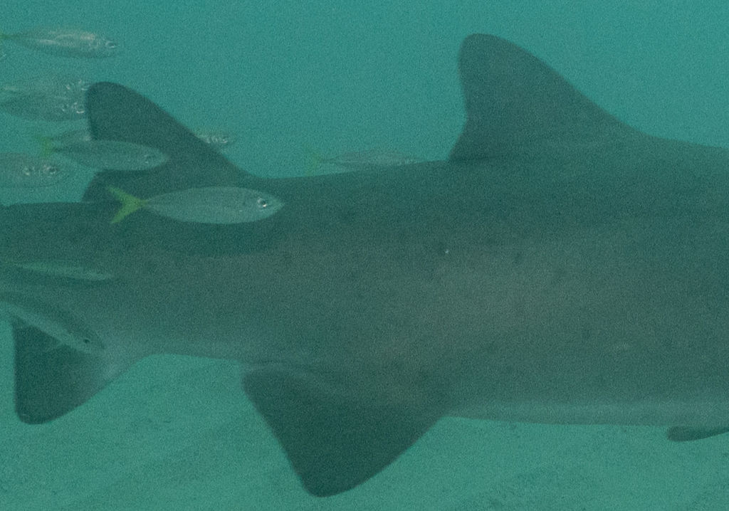 b8b1b600-46b8-4384-8992-c5633481a709