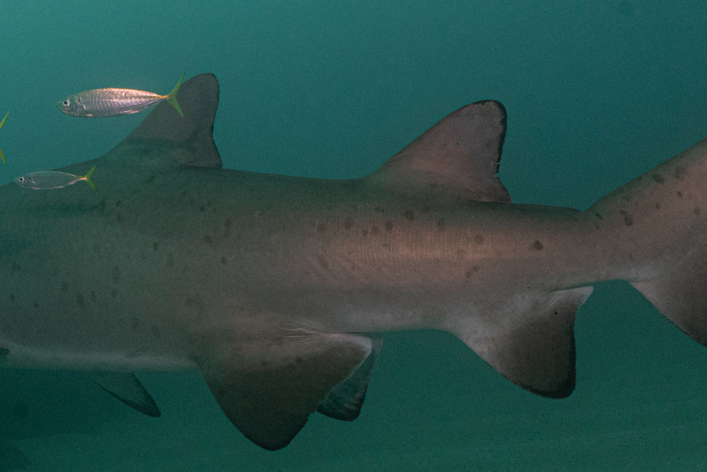 b8b1b600-46b8-4384-8992-c5633481a709