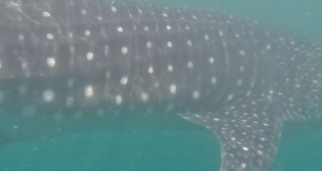 3aff696f-cc27-4b5a-8275-5aee5ca162dd