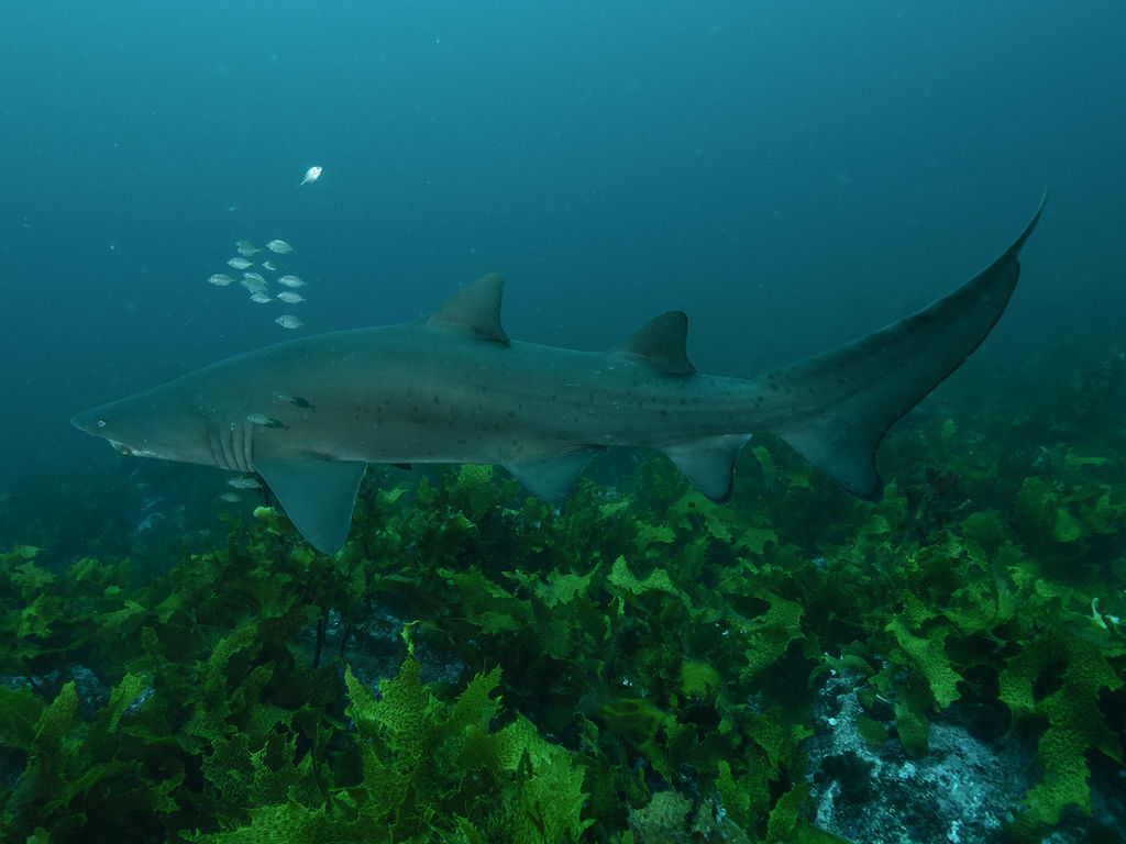 6b1b94cb-9994-4335-9b20-e870b1cf7ad1