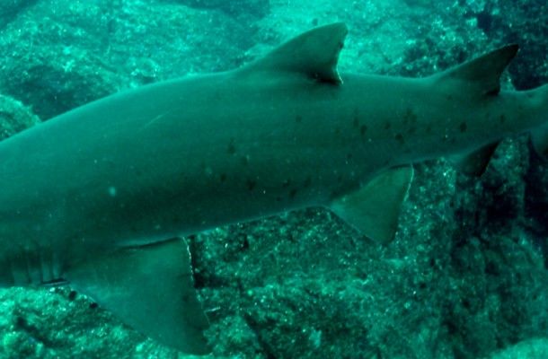 ac03fa3b-47e6-4c99-aa6a-55af636b15a1