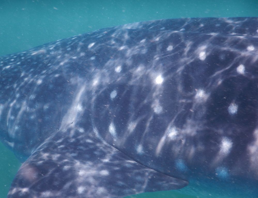 110f8742-4245-4a95-8dd5-37317682526a