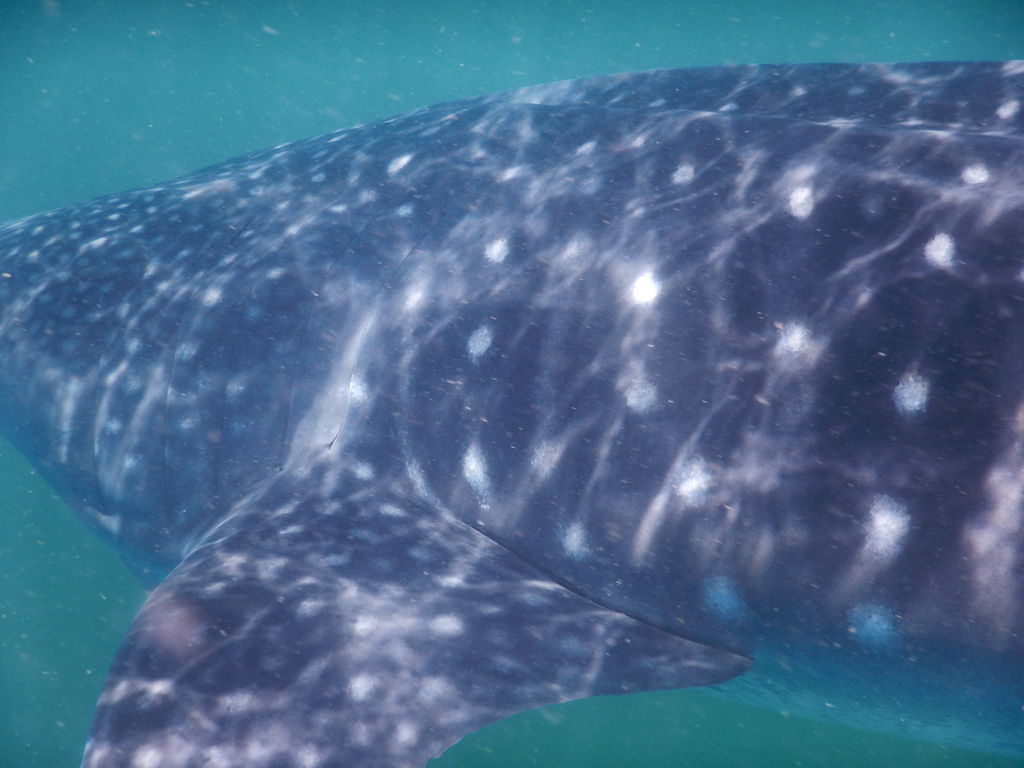 110f8742-4245-4a95-8dd5-37317682526a