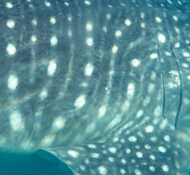 106bc7d1-e52c-4ab9-ac22-bbea1dbc1dd2