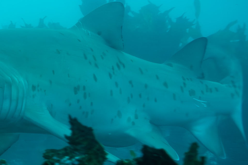 f6a1adbe-d084-4af6-930f-ab577e4fffbf