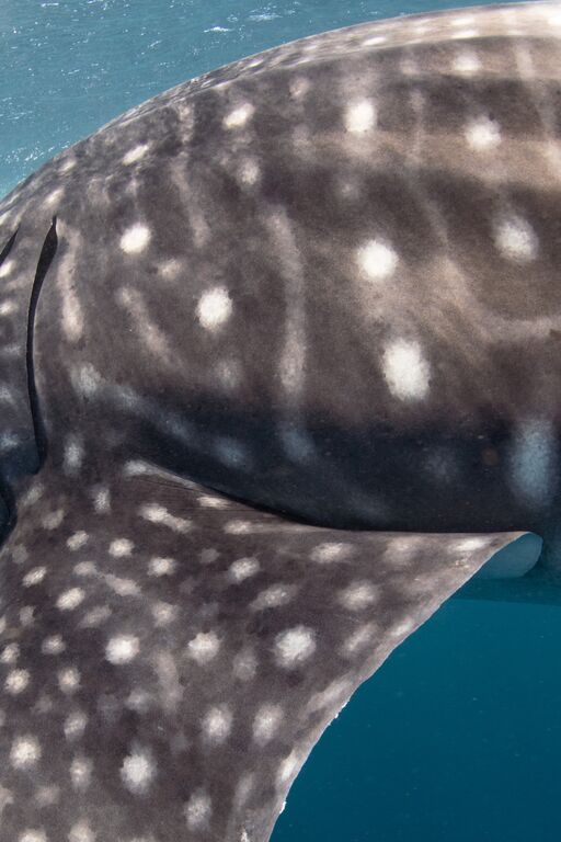 947b0e2e-ed1f-4c1c-9c01-c1209d0cb370