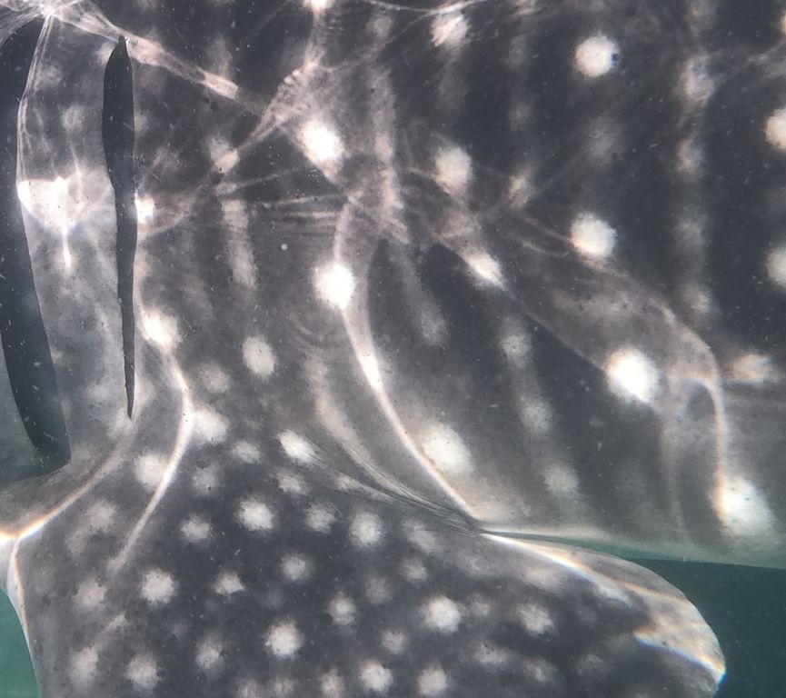 a77828aa-1640-4d3d-b8e6-88efcc88c2ba