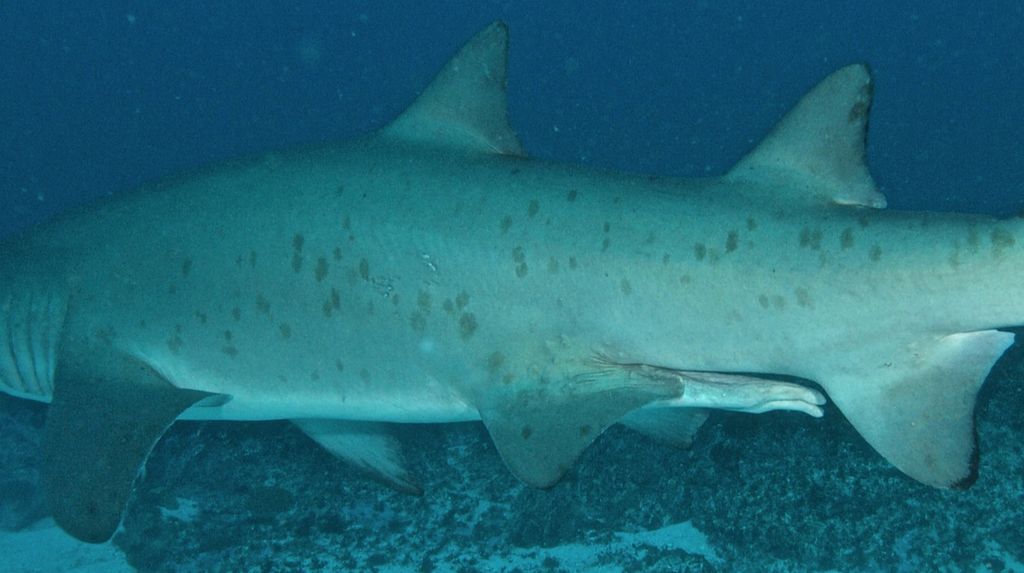 29033d5a-cdb0-4cb5-904f-b04cffee3a65