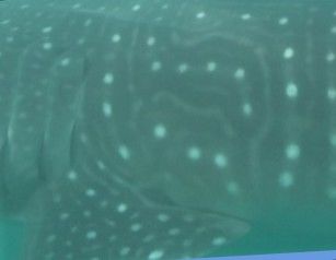 1fb3e489-48cd-46c4-a110-230fd1eefff0