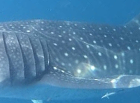 28c3bf95-993d-496d-947d-ca00f15ac7a9