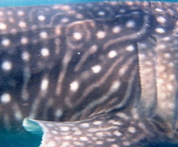 9ca46a87-f5b6-43d2-ba49-9c779046aa78