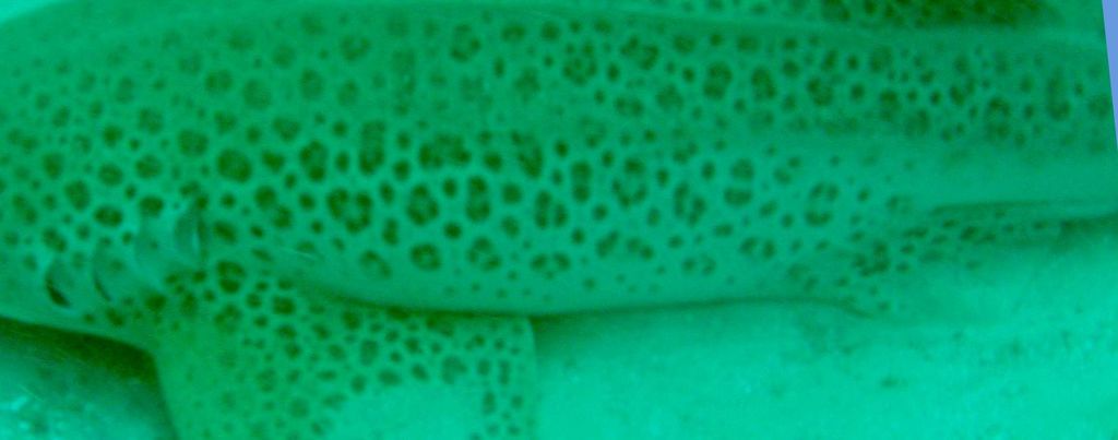 8951ba70-e62c-4561-847d-3c6df7a38236