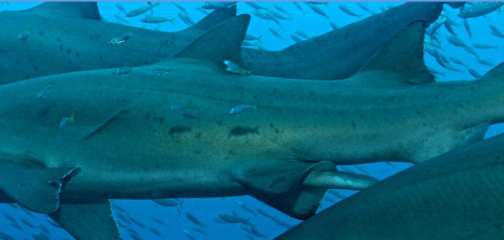 e3525232-1eb5-47c3-88d6-faa81a6cba0a