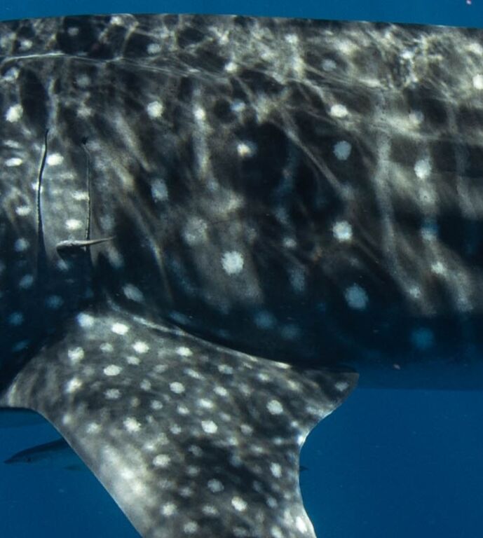 dca5bd12-95a8-4566-a580-ede107e16b6d