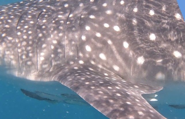 8491dca2-c1f8-4eee-bfc7-c602f24c3130