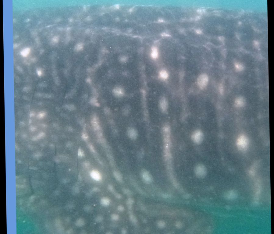 aa9eb8ef-269f-4326-b97b-92cf5041ed89