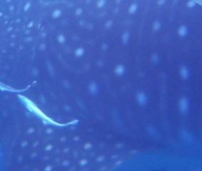 05d15c9d-9346-4d2b-9f1b-505e21f45a7d